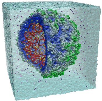 virus_simulation